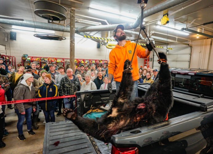 Bear necessities bear hunting season underway News, Sports, Jobs